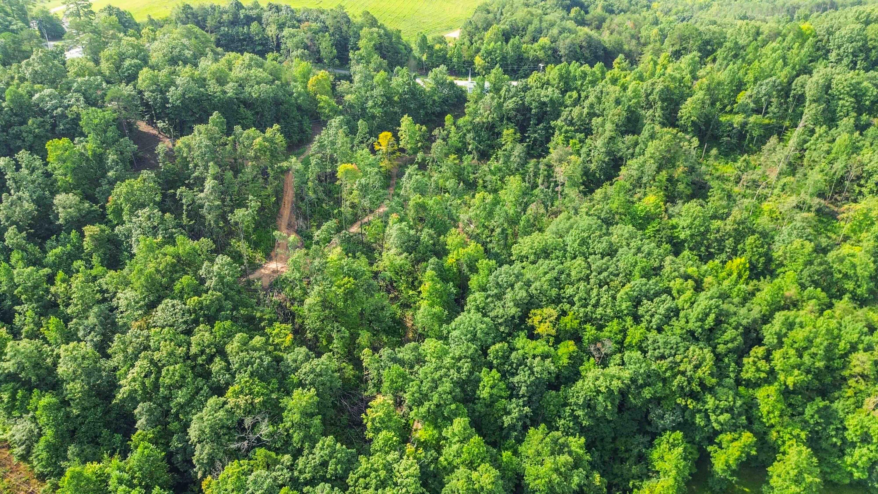 275 Dixie Bend Road Burnside, KY 42519 - Photo 12 of 15 009