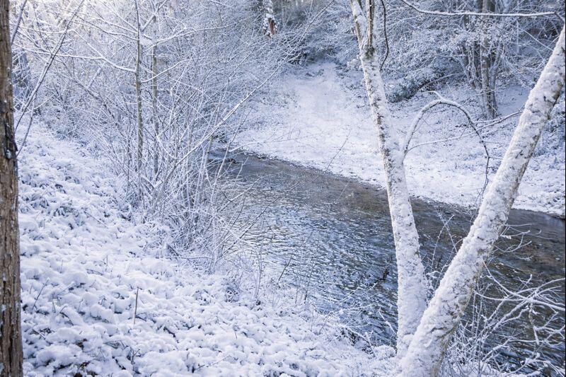 1768 Alean Road Wirtz, VA 24184 - Photo 3 of 53 Creek with Snow