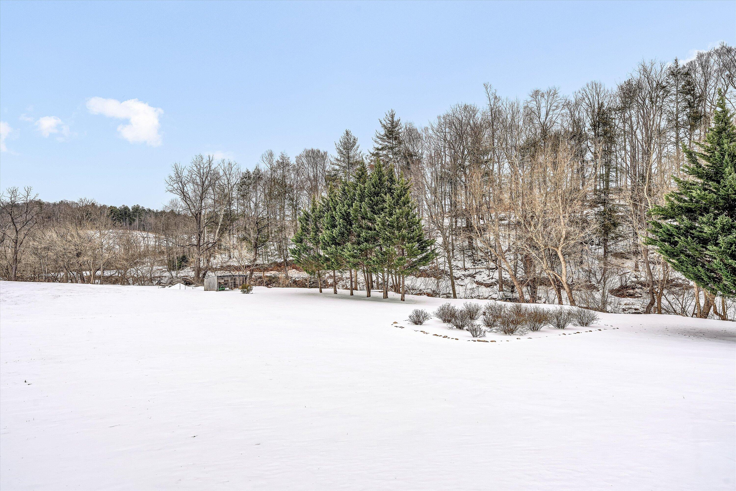 1768 Alean Road Wirtz, VA 24184 - Photo 42 of 53 46-DSC00139