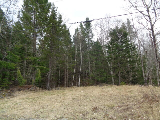 Lot 8 Tom Leighton Point Road Milbridge, ME 04658 - Photo 10 of 12 DSC05301