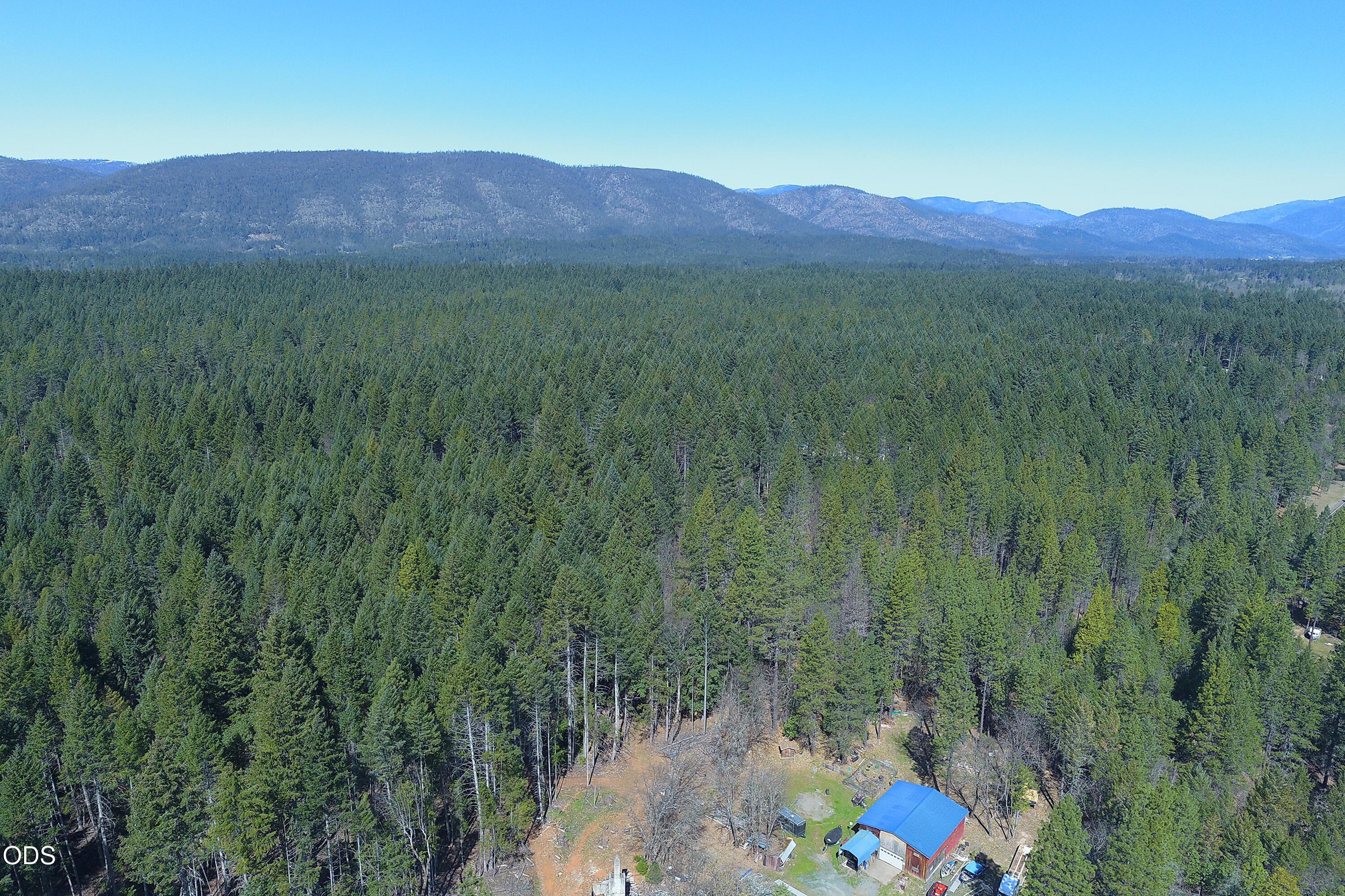 3160 Rockydale Road Cave Junction, OR 97523 - Photo 63 of 90