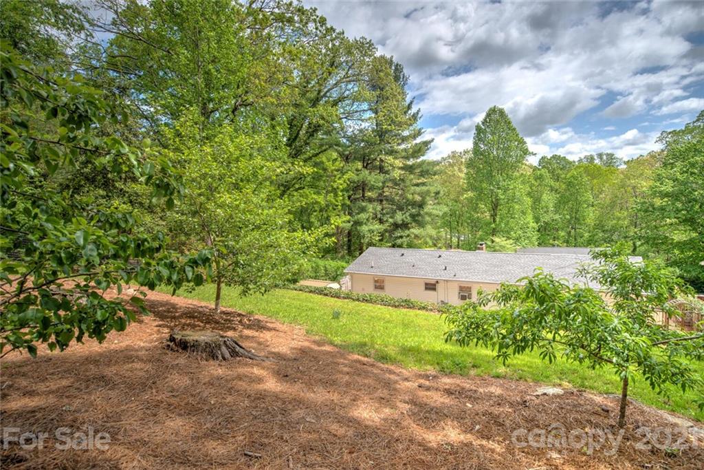 171 Beverly Road Asheville, NC 28805 - Photo 36 of 39 Gallery Image 36