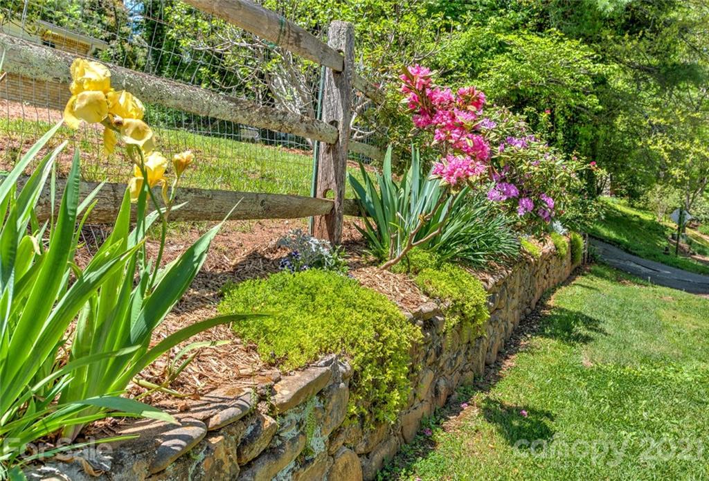 171 Beverly Road Asheville, NC 28805 - Photo 38 of 39 Gallery Image 38