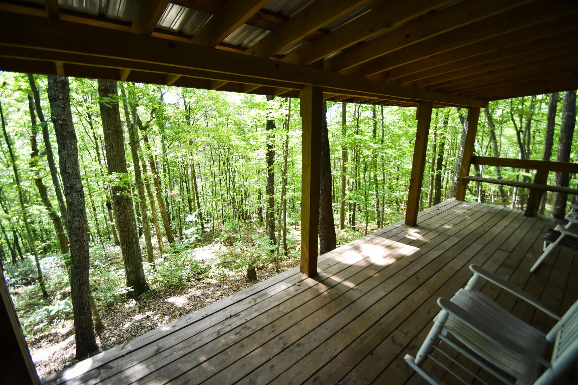 0 Carpenter Ridge Road Sandgap, KY 40481 - Photo 15 of 36 DSC_2106