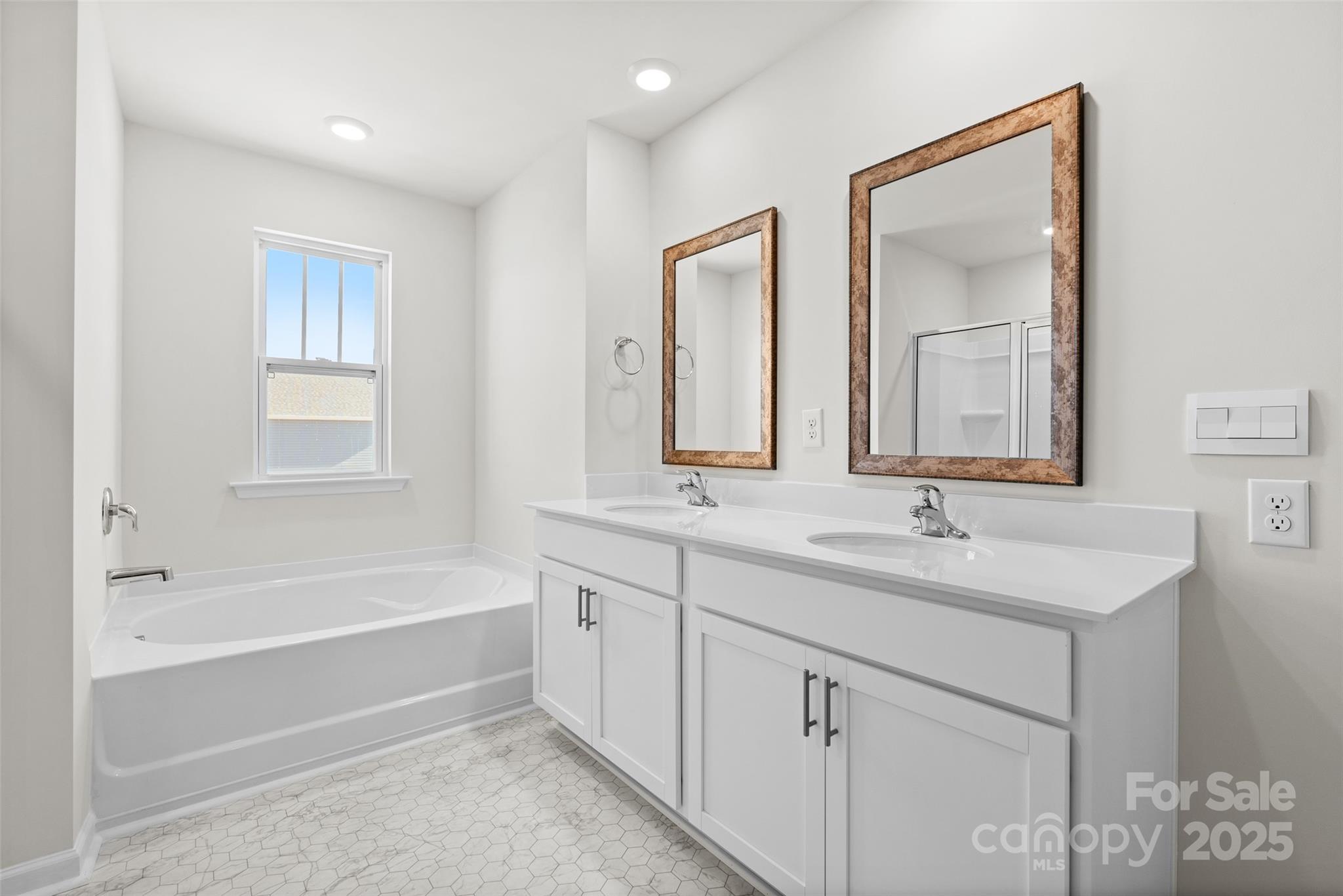 155 Bovine Br Road Fletcher, NC 28732 - Photo 15 of 20 a bathroom with a tub a sink and mirror