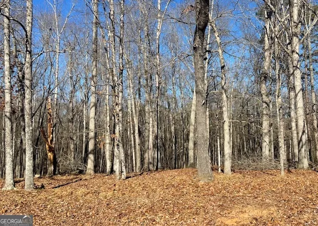a view of a backyard of the house