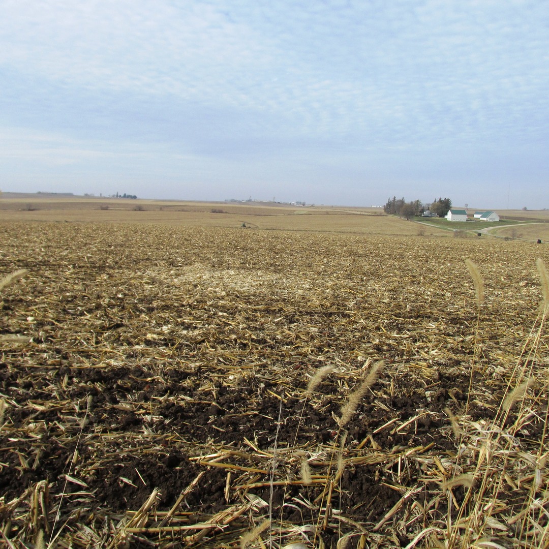 Tbd Sugar Grove Road Dixon, IL 61021 - Photo 3 of 9 Gallery Image 3