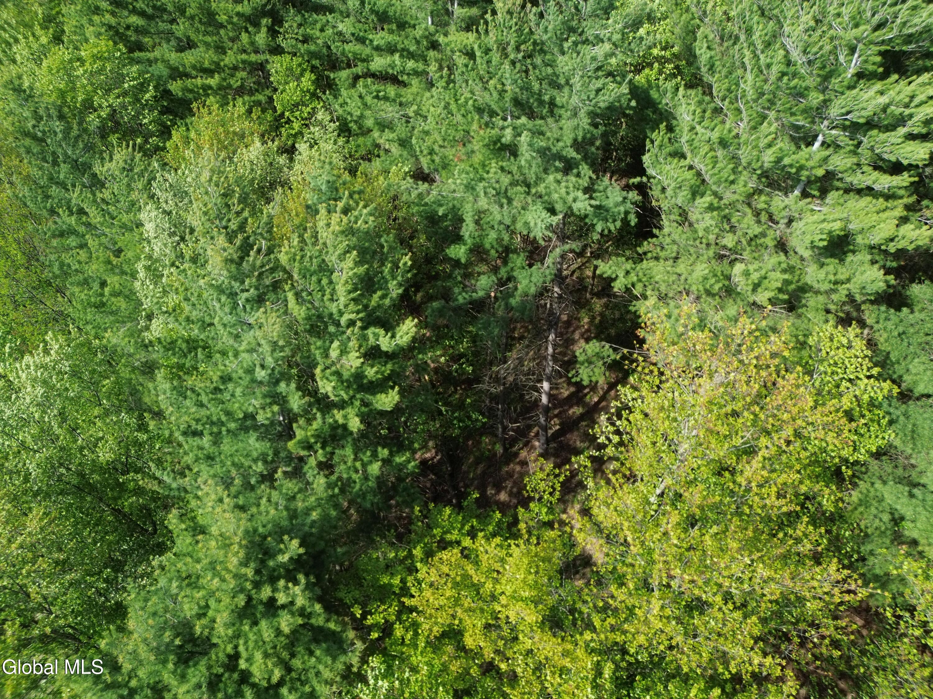 264 Conley Road Cambridge, NY 12816 - Photo 5 of 7 DJI_0415