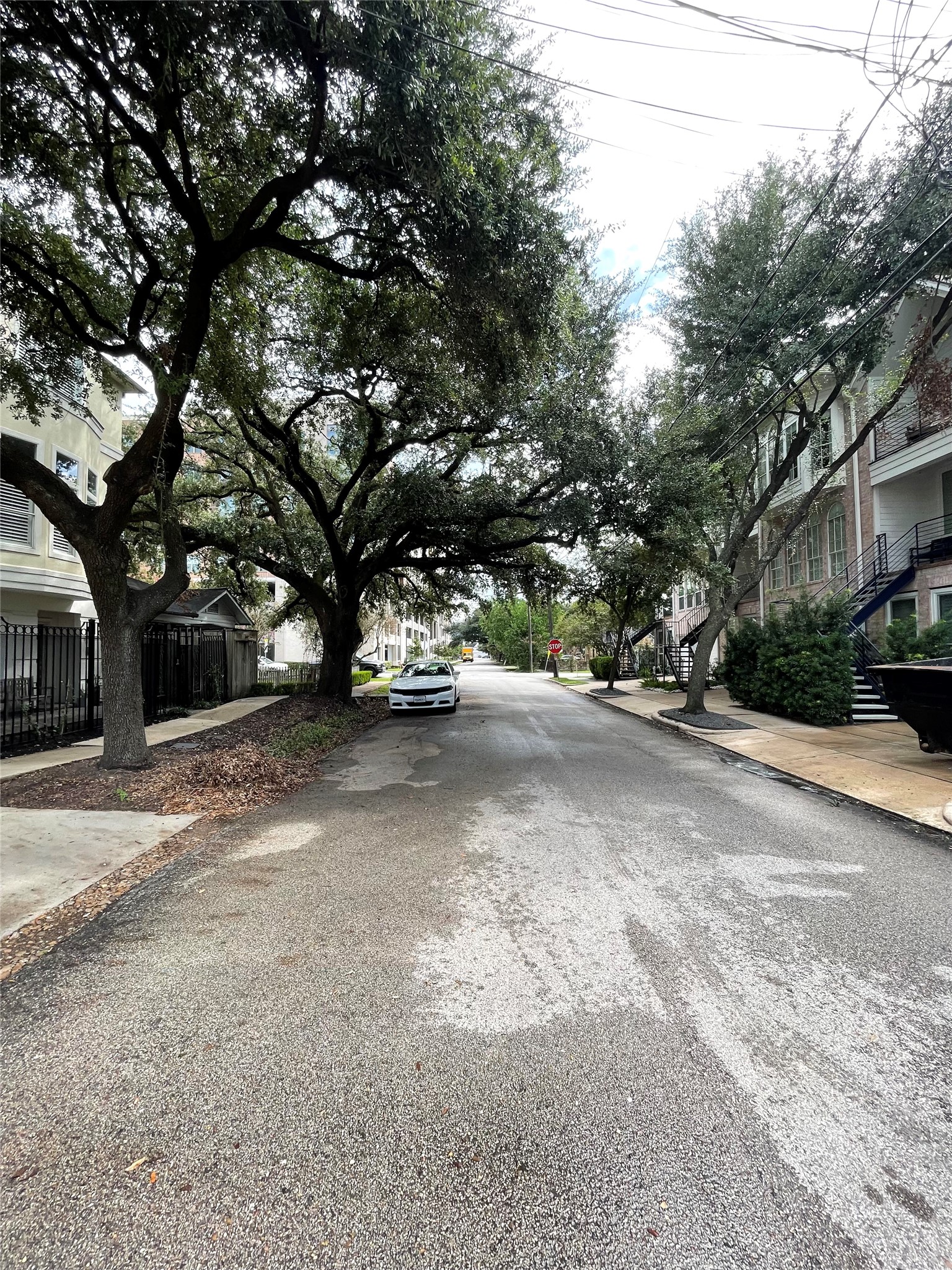 1211 Marconi Street Houston, TX 77019 - Photo 42 of 42 a view of road with trees
