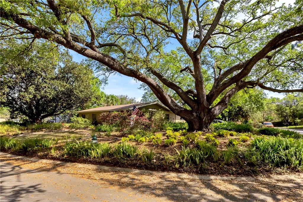 702 Denton Road Winter Park, FL 32792 - Photo 1 of 1 Gallery Image 1