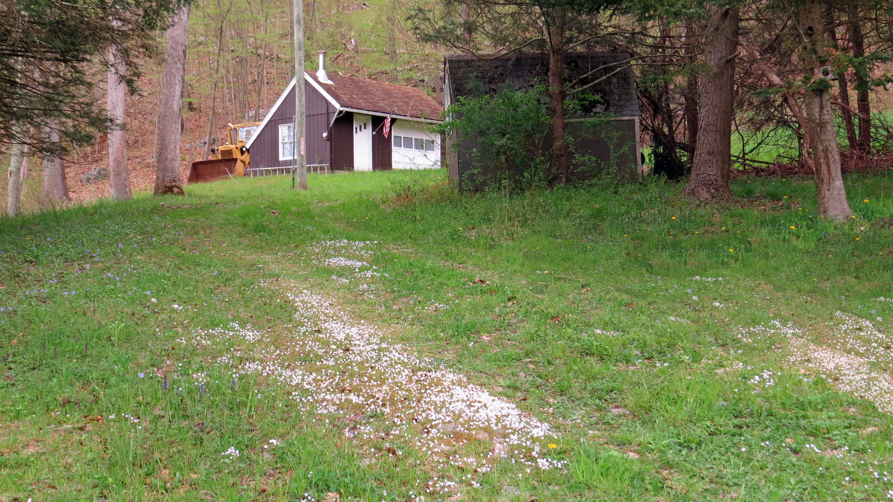 198 Cook Lane Beacon Falls, CT 06403 - Photo 2 of 7 a view of a big yard in front of a house with large trees