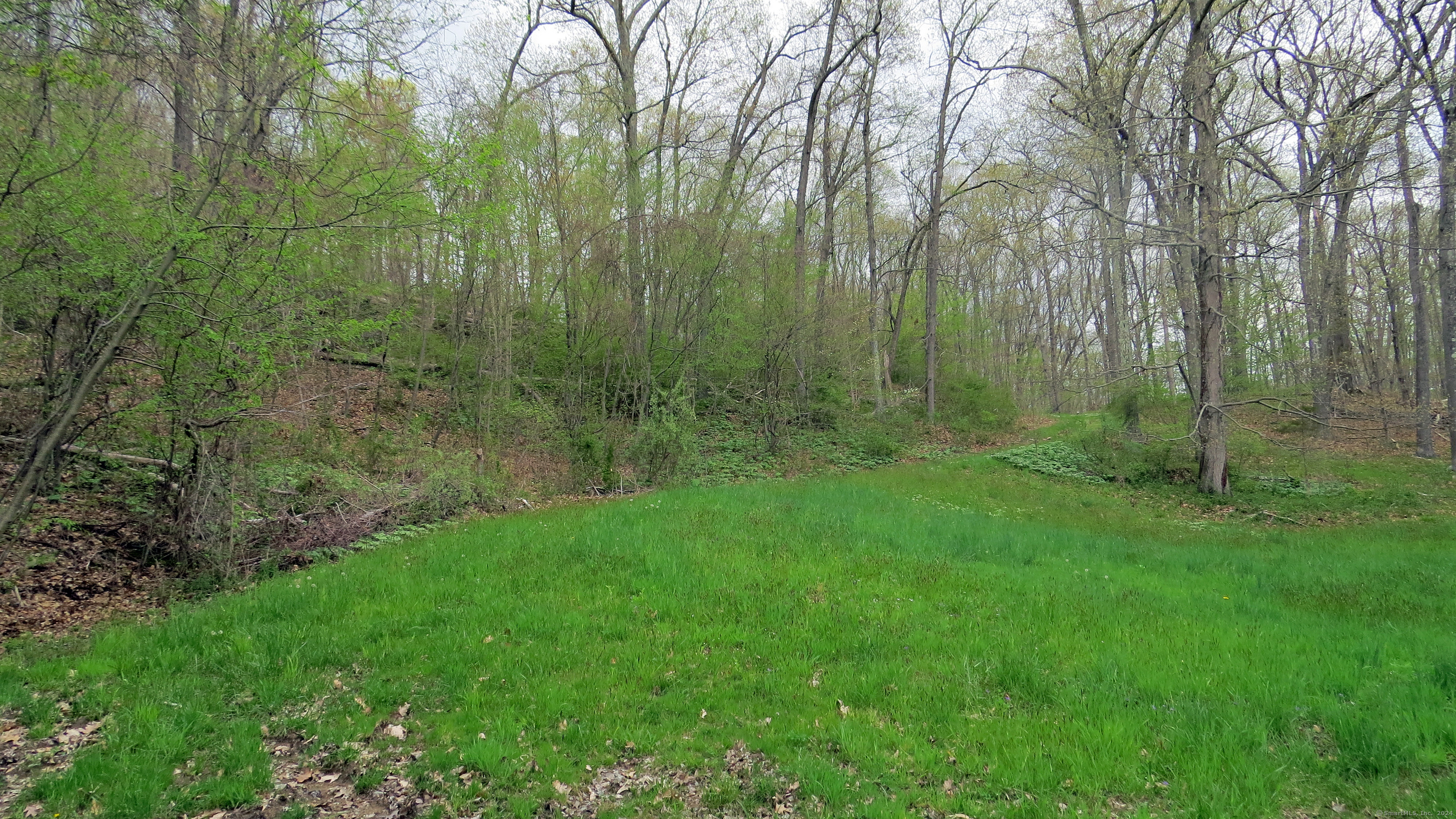 198 Cook Lane Beacon Falls, CT 06403 - Photo 3 of 7 a view of a lush green forest