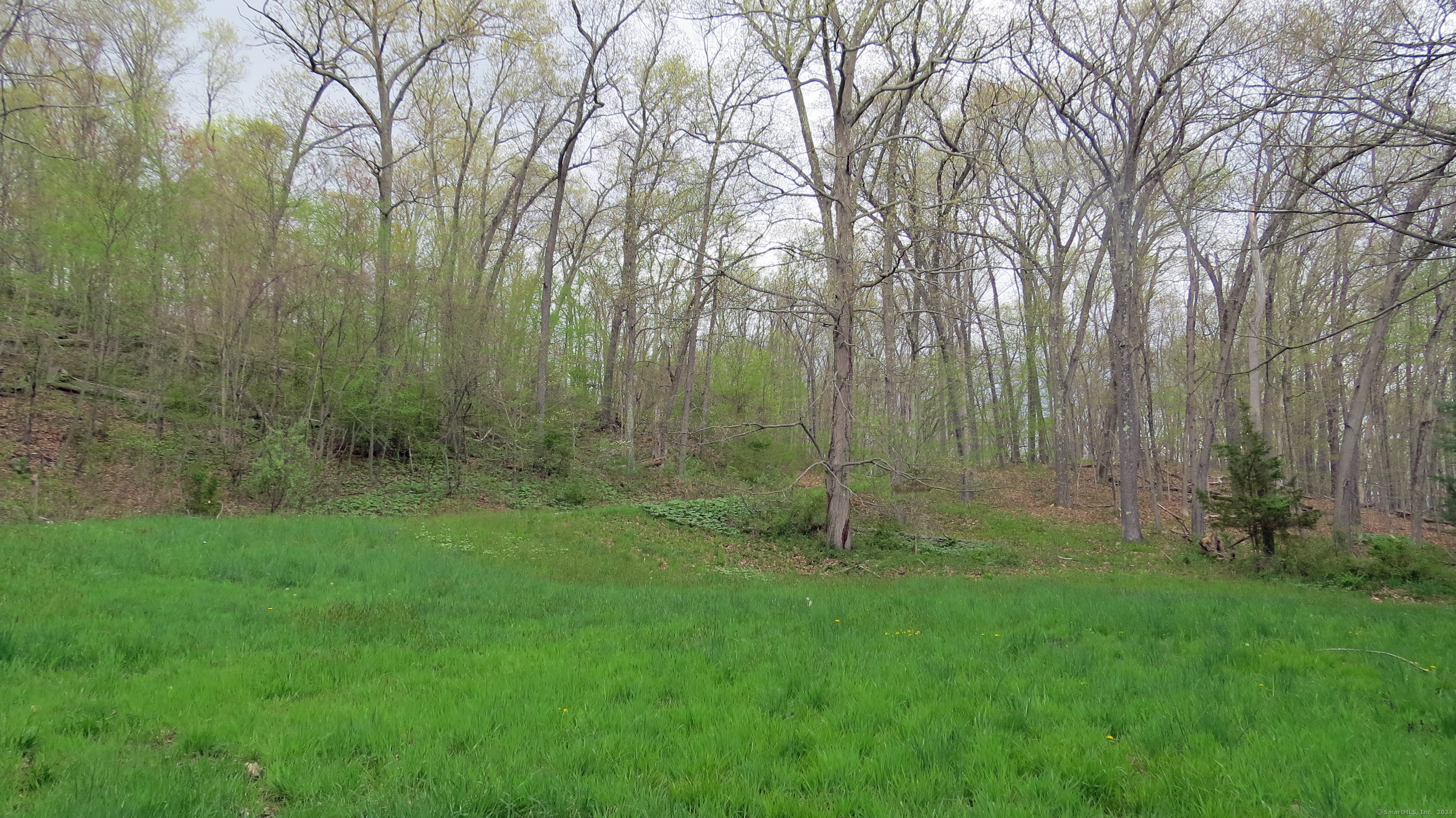 198 Cook Lane Beacon Falls, CT 06403 - Photo 4 of 7 a view of a back yard