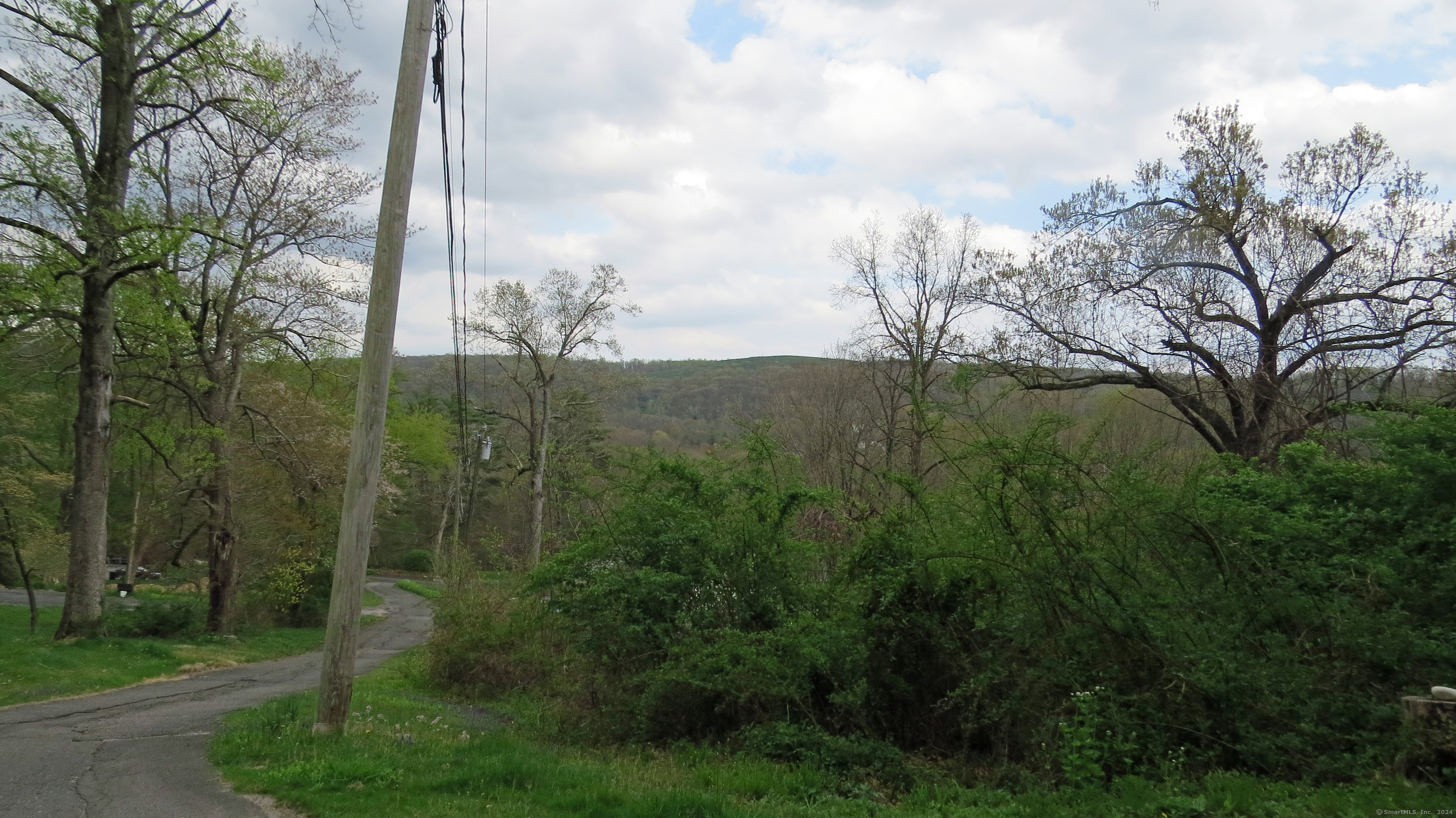 198 Cook Lane Beacon Falls, CT 06403 - Photo 6 of 7 a view of a forest with a tree