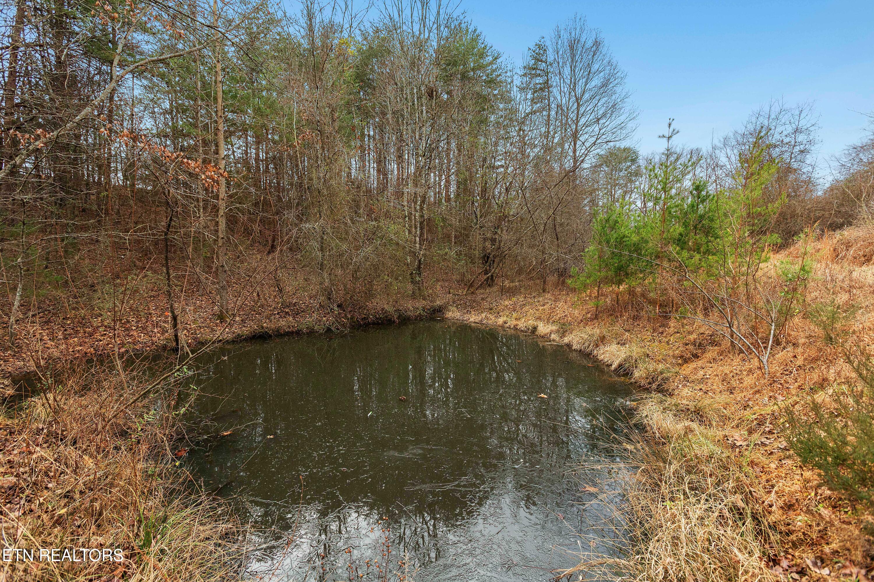 161 Steele Road Vonore, TN 37885 - Photo 18 of 43 Pond