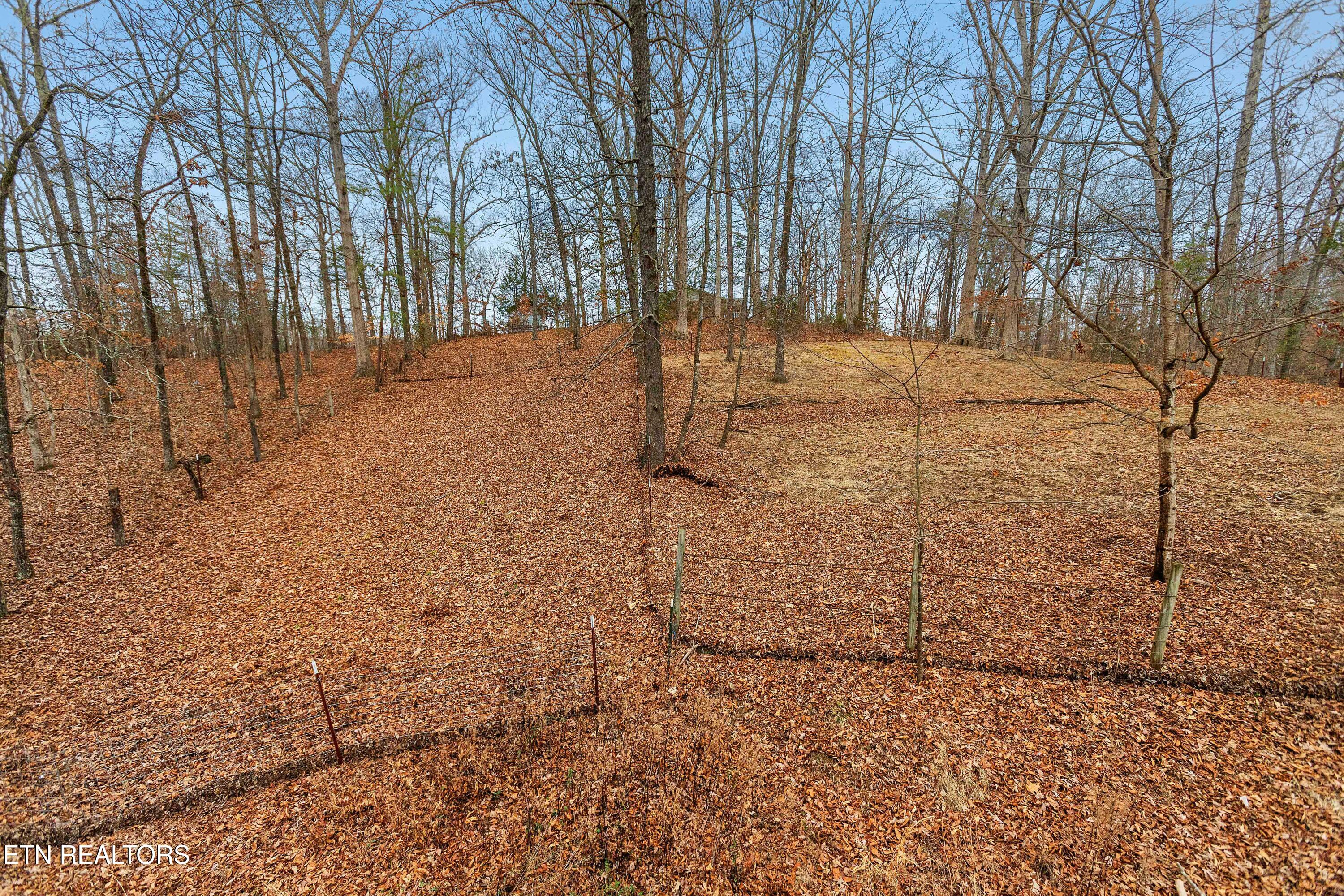 161 Steele Road Vonore, TN 37885 - Photo 19 of 43 Barbed Wire Pens in Place