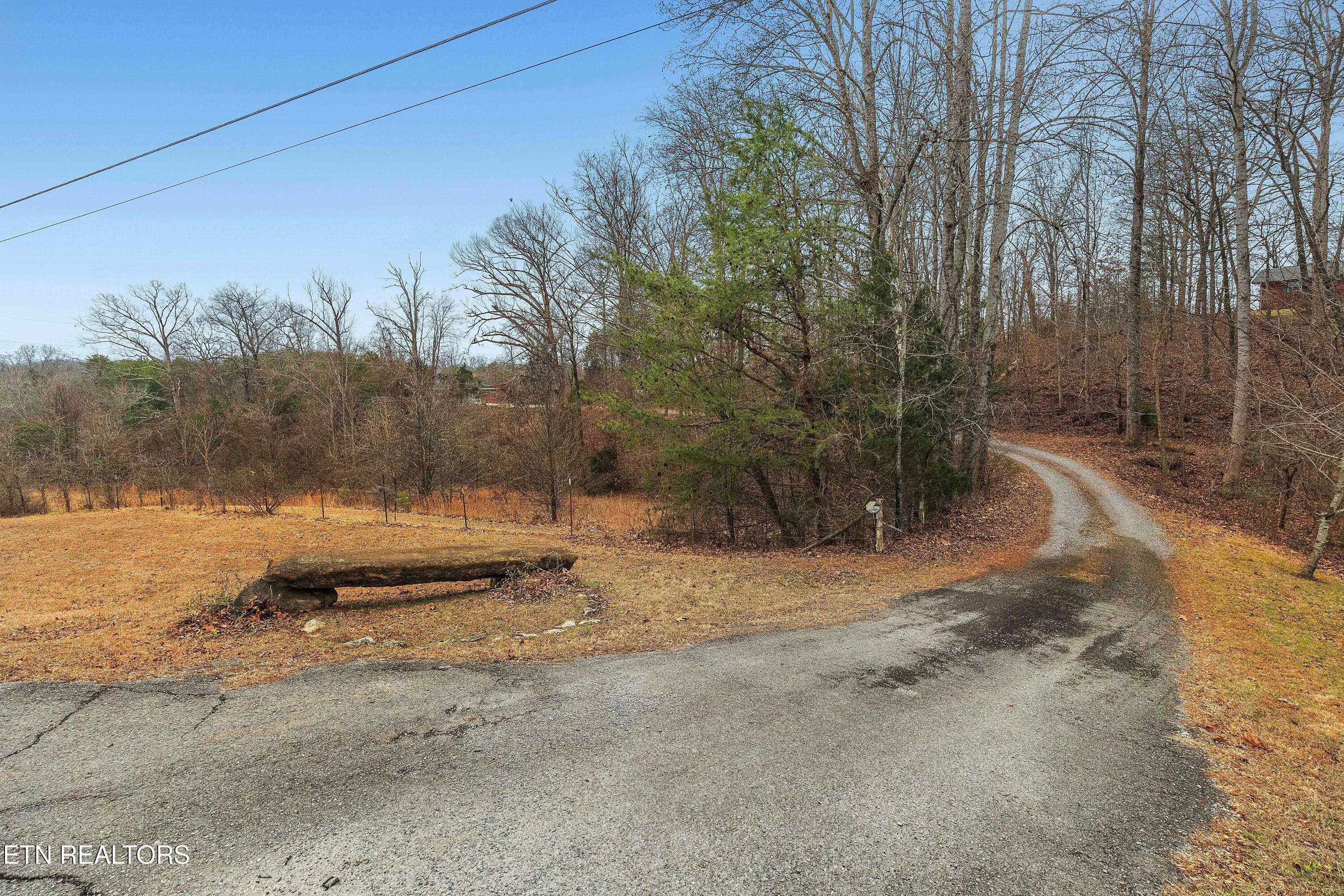 161 Steele Road Vonore, TN 37885 - Photo 34 of 43 Driveway From Road