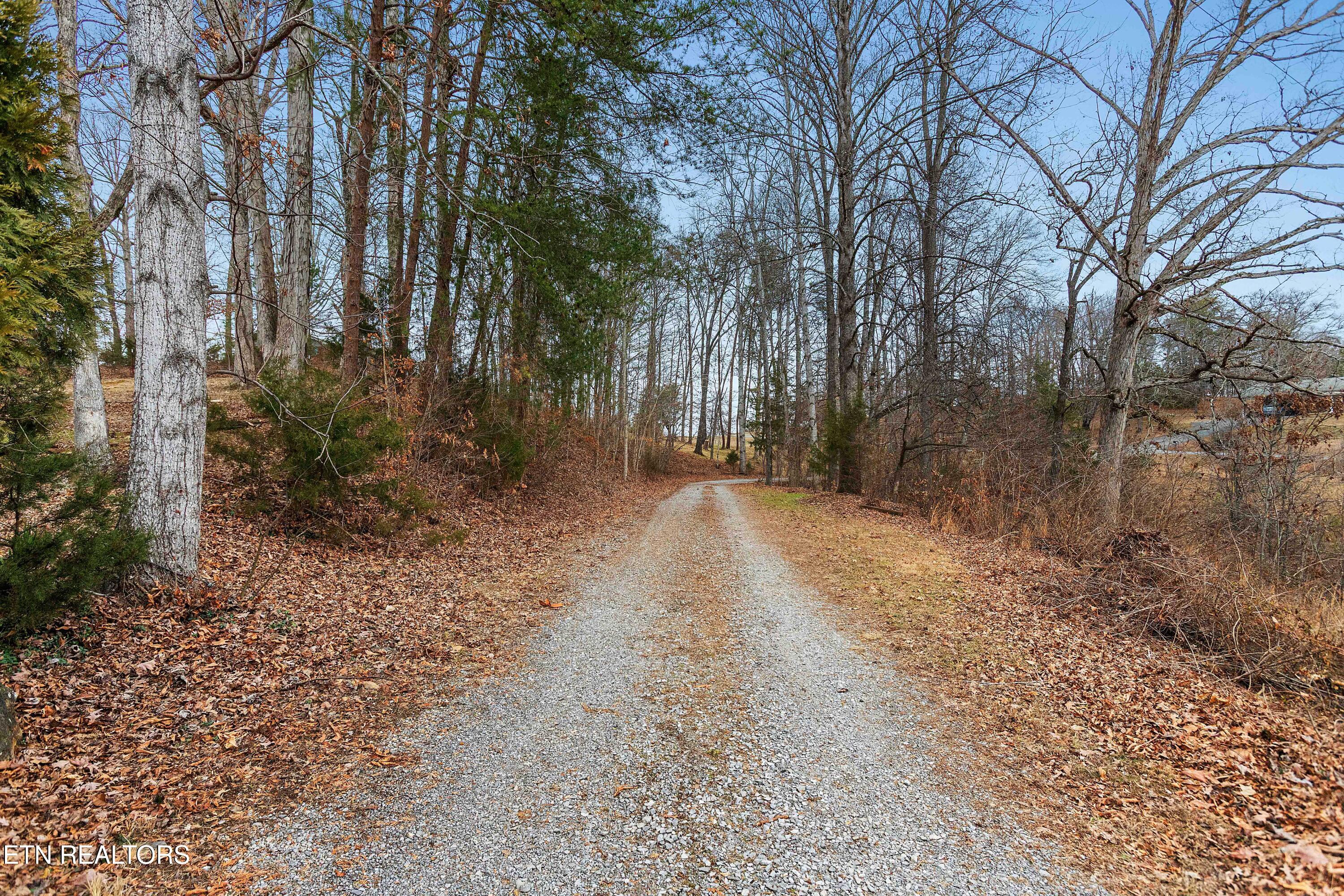 161 Steele Road Vonore, TN 37885 - Photo 35 of 43 Private Driveway