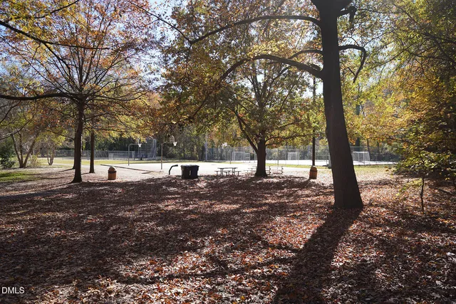 a view of a yard with large trees