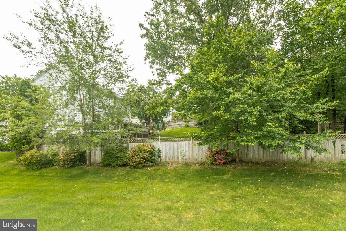 6505 Walker Branch Drive Laurel, MD 20707 - Photo 55 of 60 Back yard