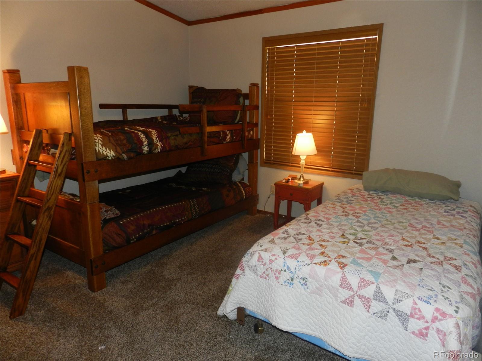 2325 Deer Creek Road Bailey, CO 80421 - Photo 12 of 35