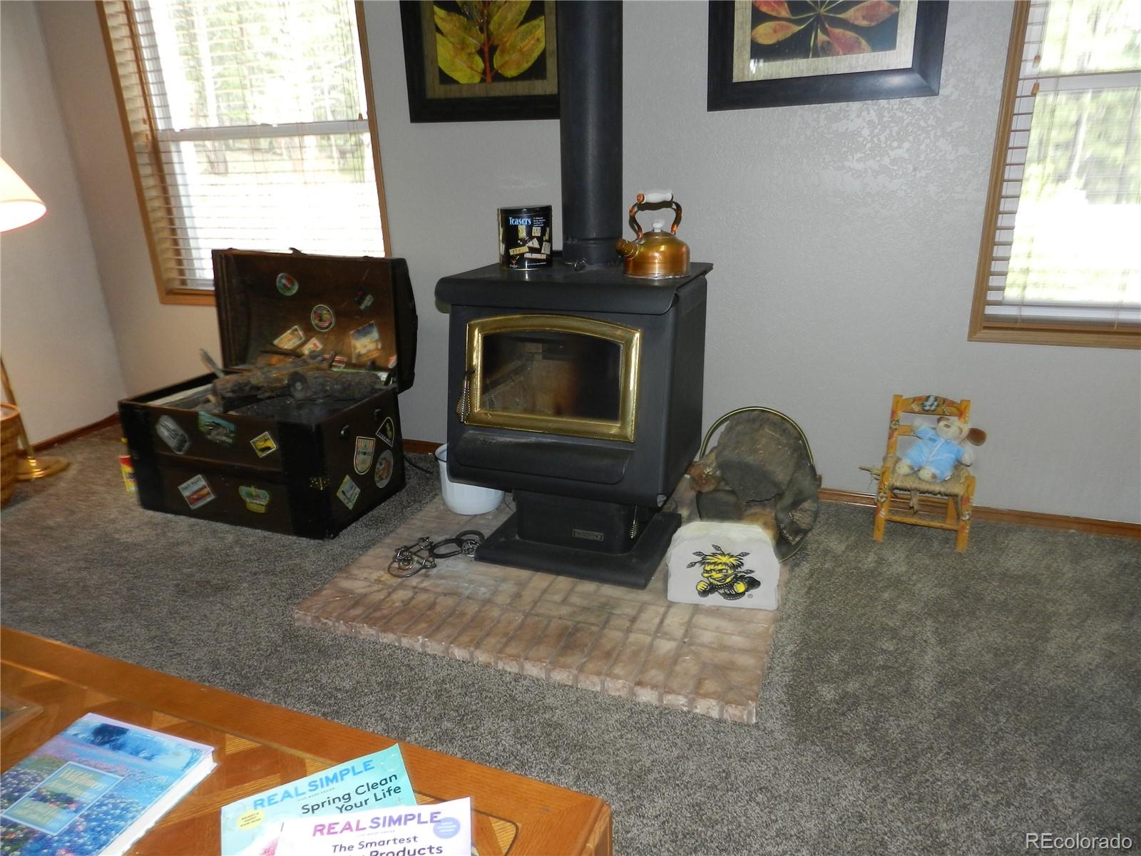 2325 Deer Creek Road Bailey, CO 80421 - Photo 17 of 35
