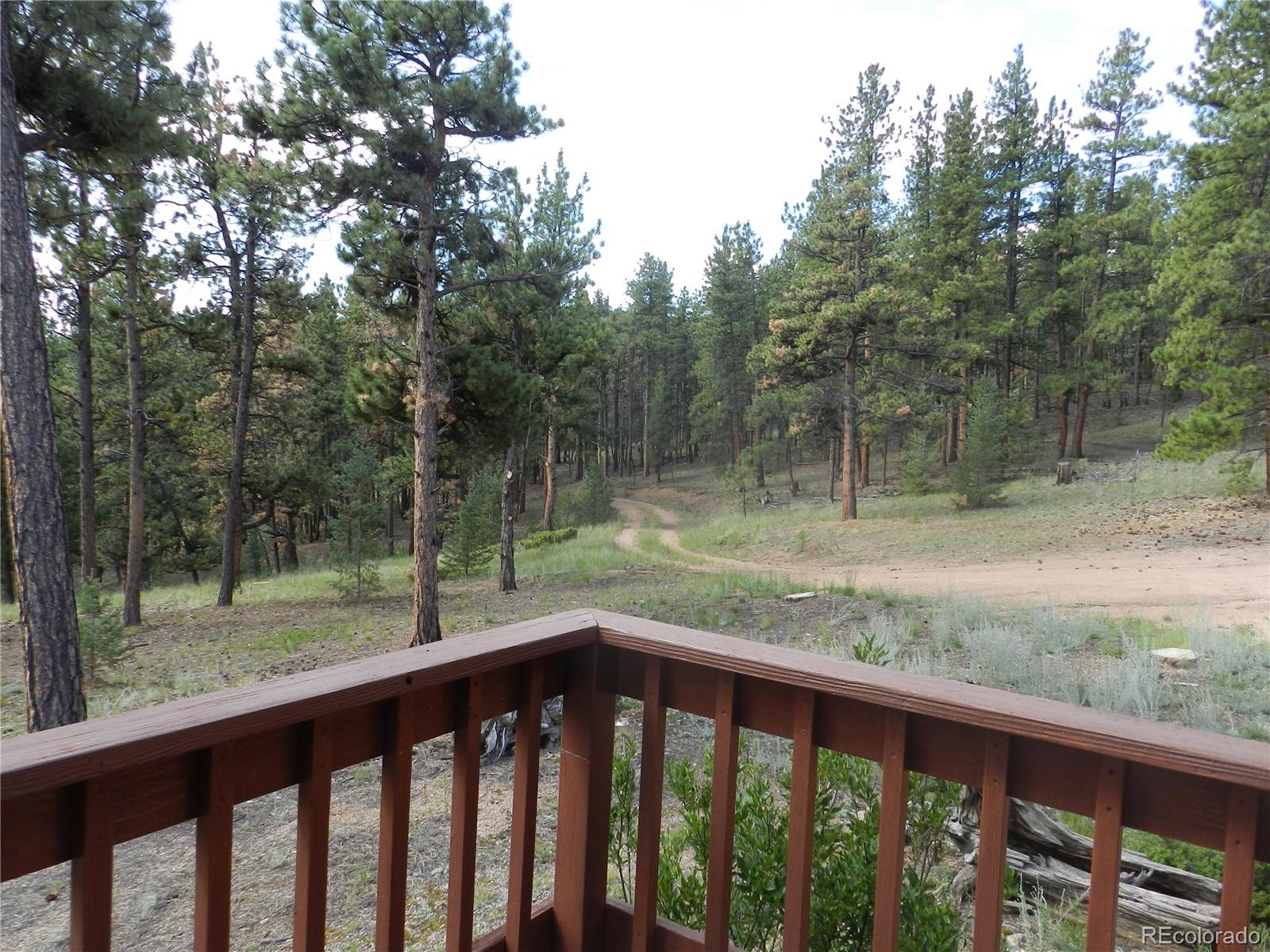 2325 Deer Creek Road Bailey, CO 80421 - Photo 20 of 35