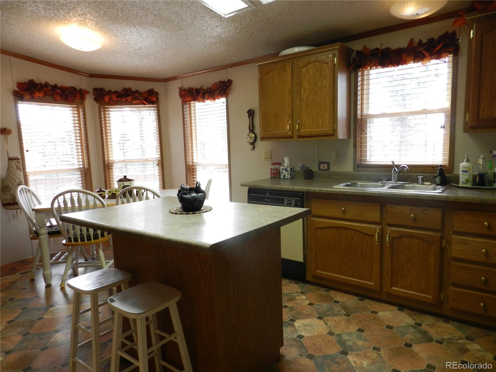 2325 Deer Creek Road Bailey, CO 80421 - Photo 2 of 35