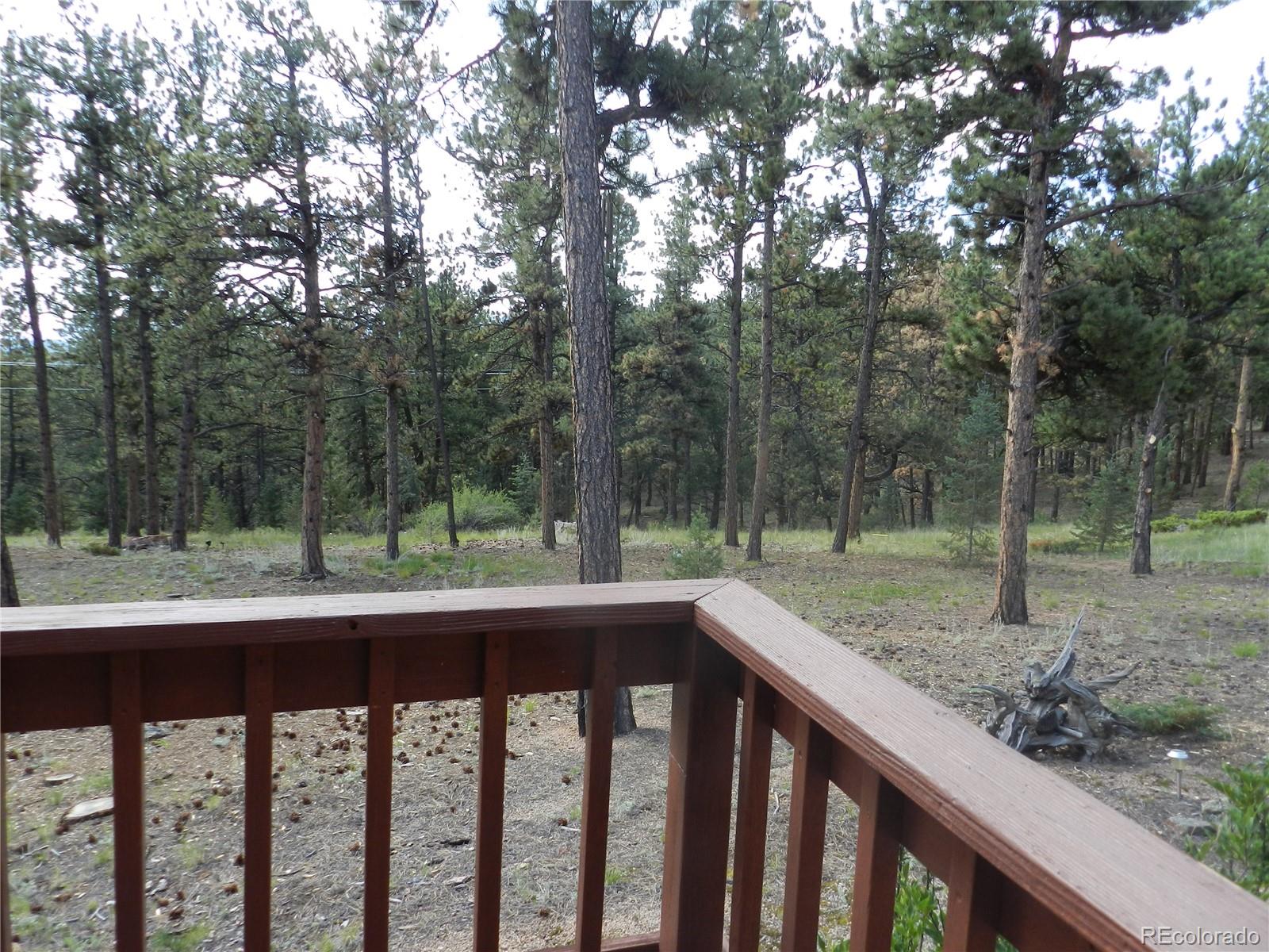 2325 Deer Creek Road Bailey, CO 80421 - Photo 21 of 35