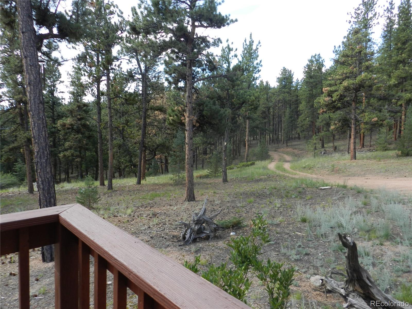 2325 Deer Creek Road Bailey, CO 80421 - Photo 22 of 35