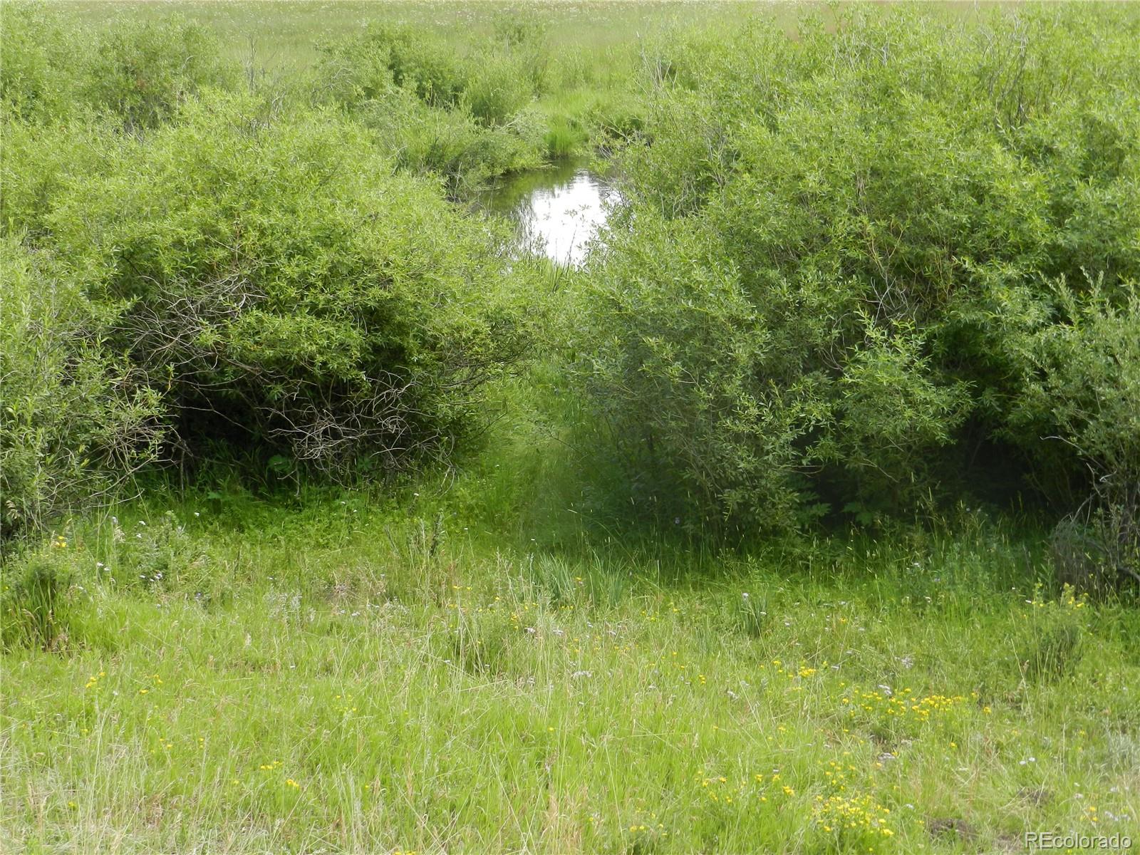 2325 Deer Creek Road Bailey, CO 80421 - Photo 26 of 35
