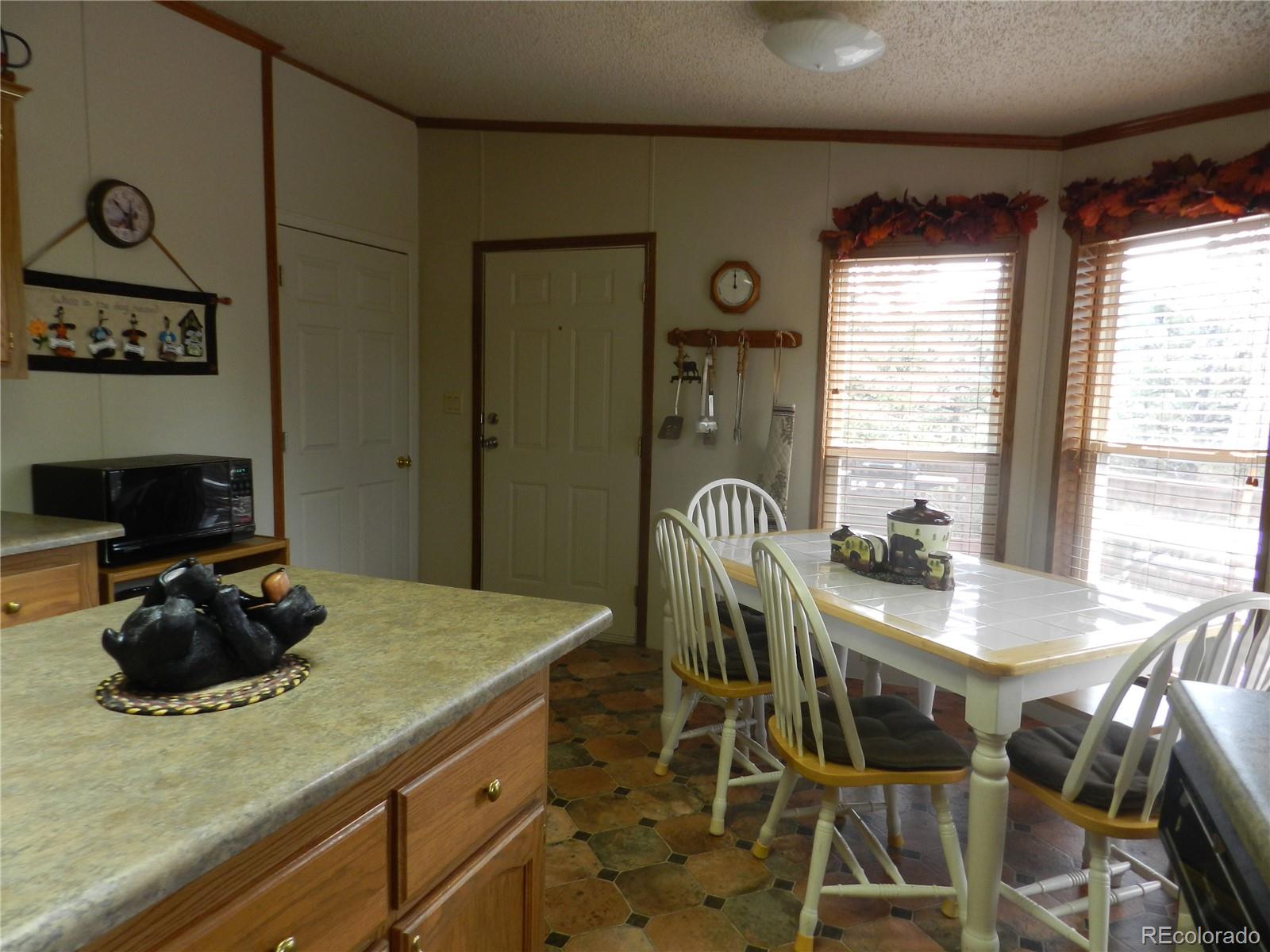 2325 Deer Creek Road Bailey, CO 80421 - Photo 3 of 35