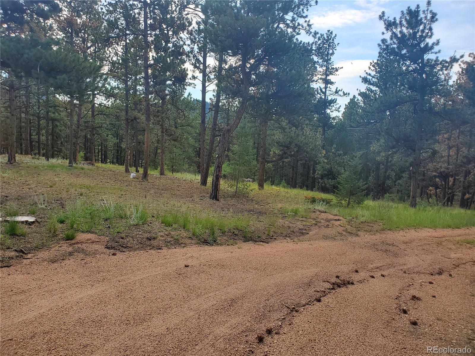 2325 Deer Creek Road Bailey, CO 80421 - Photo 34 of 35