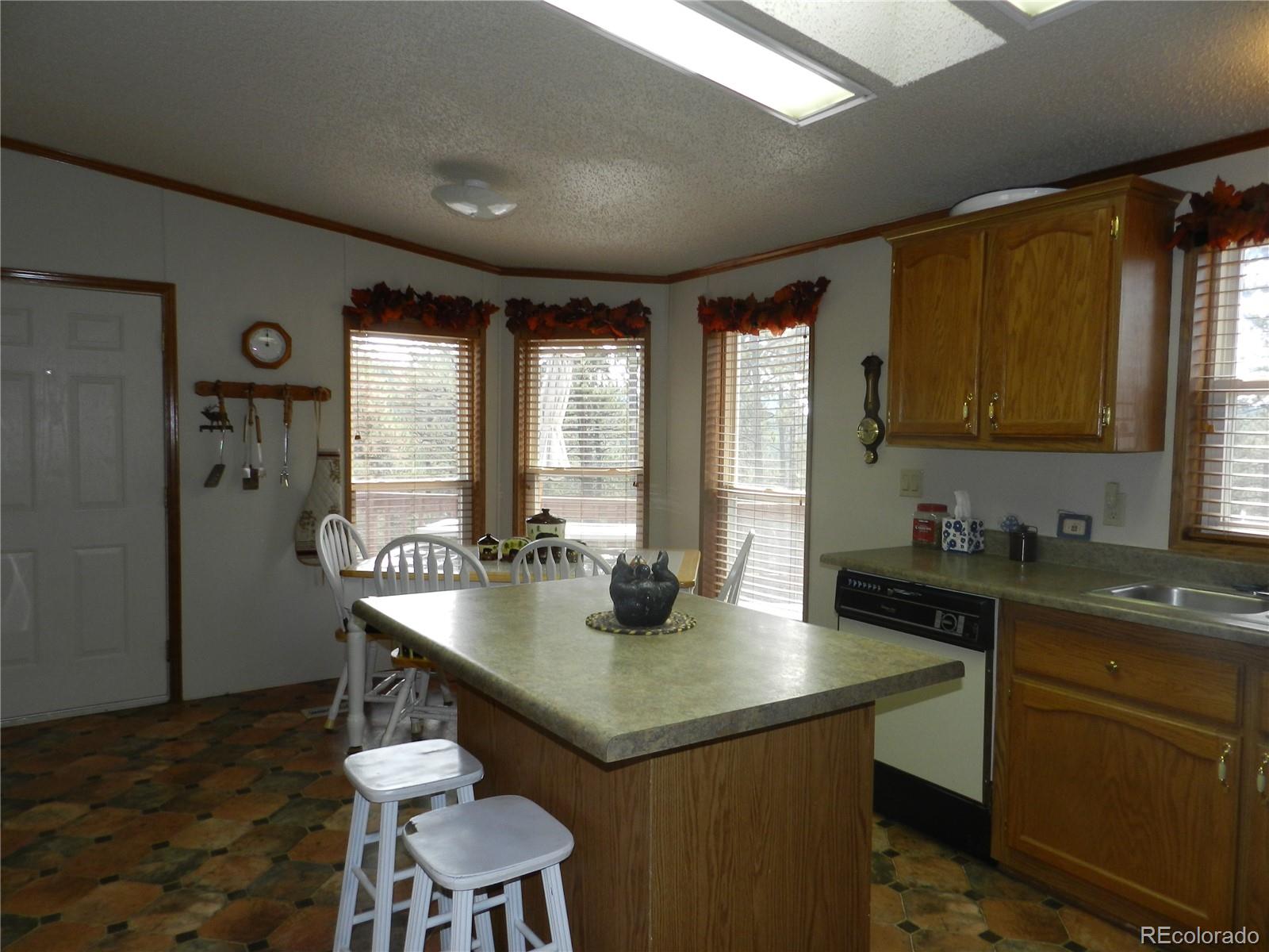 2325 Deer Creek Road Bailey, CO 80421 - Photo 4 of 35