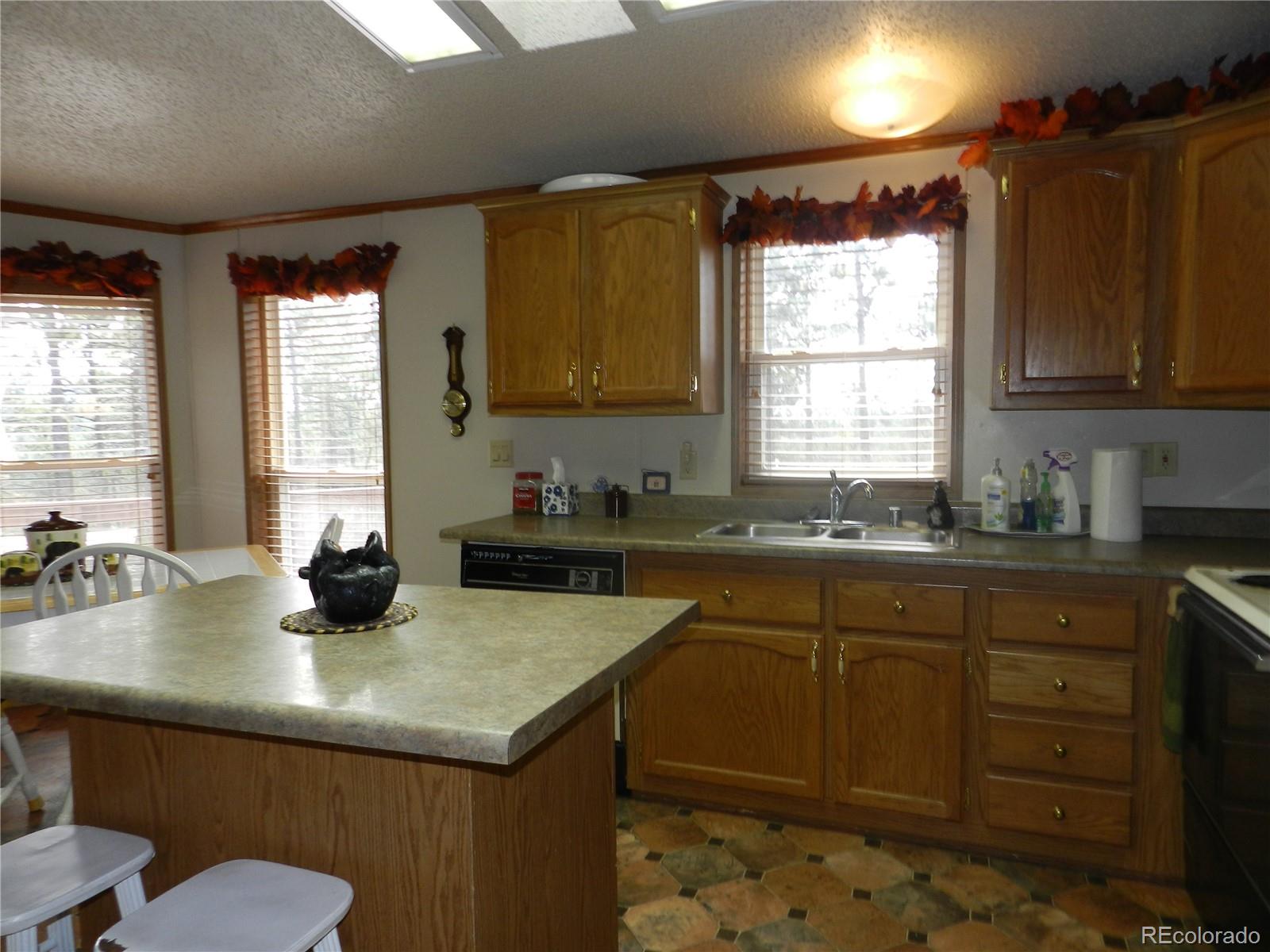 2325 Deer Creek Road Bailey, CO 80421 - Photo 5 of 35