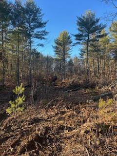 866 Parker Farm Road, Unit A Buxton, ME 04093 - Photo 3 of 6 866 farm 1
