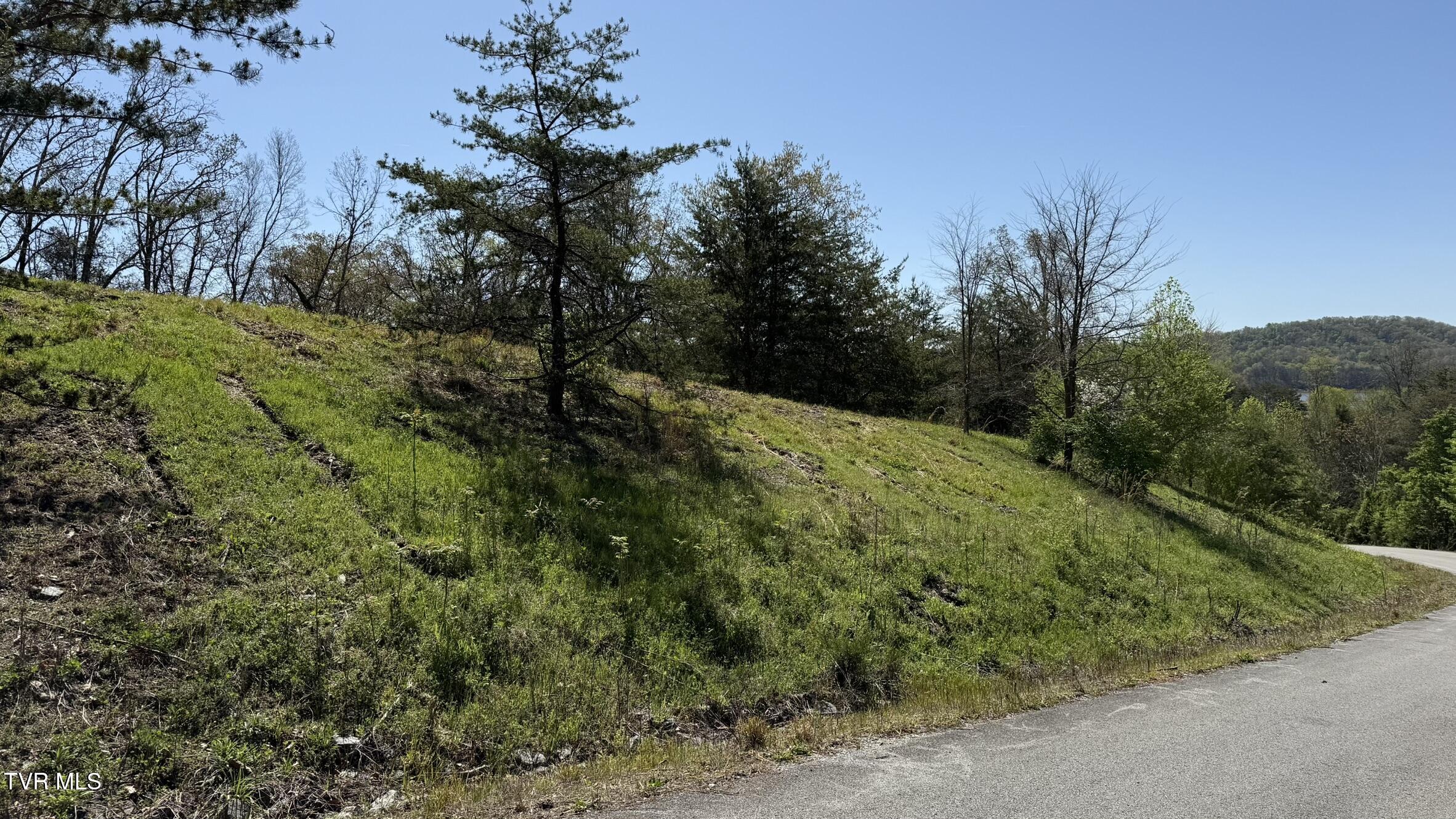 Lot 52 Bayside Boulevard, Unit 52 Bean Station, TN 37708 - Photo 2 of 7 IMG_3446