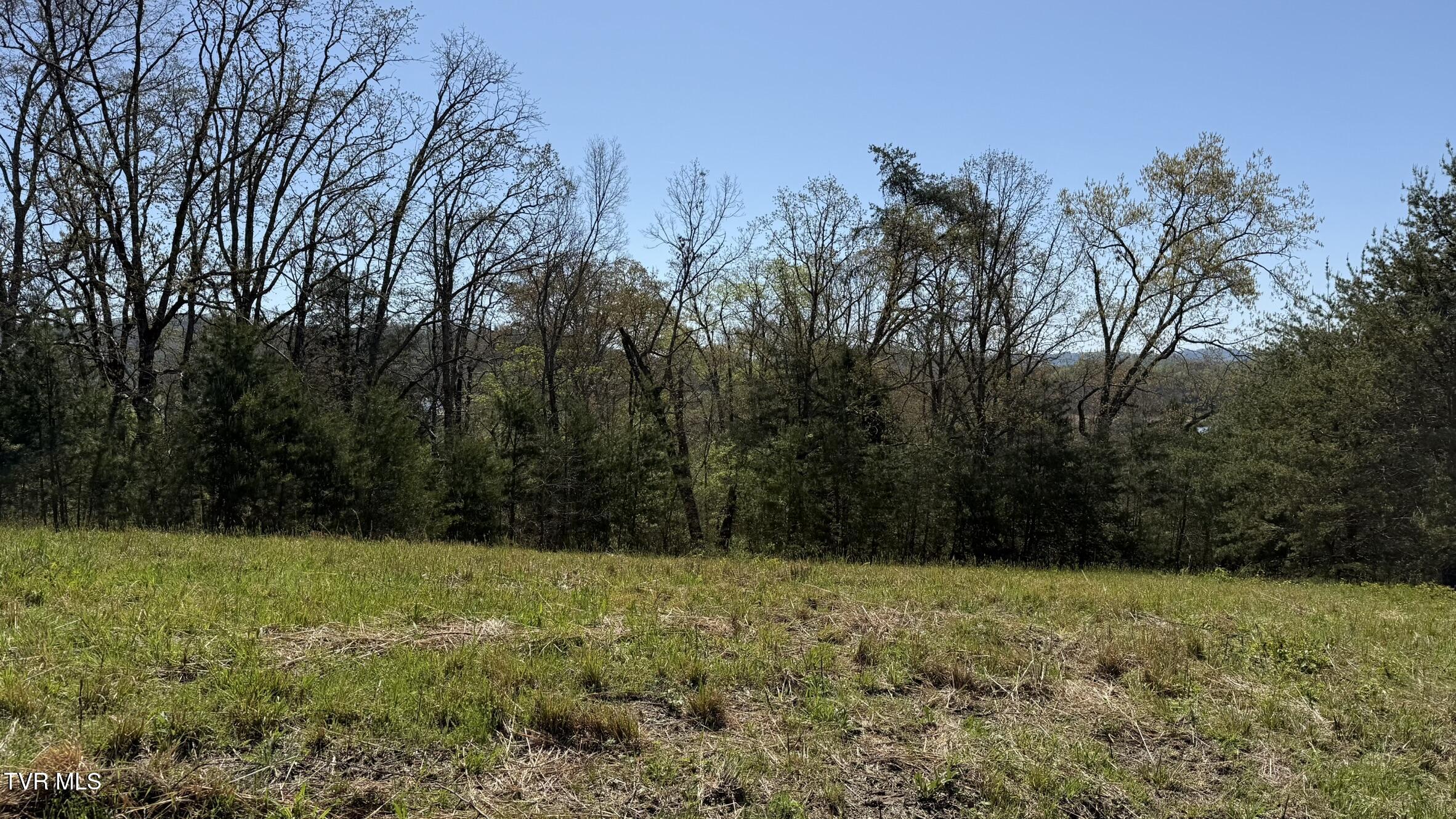 Lot 52 Bayside Boulevard, Unit 52 Bean Station, TN 37708 - Photo 3 of 7 IMG_3447