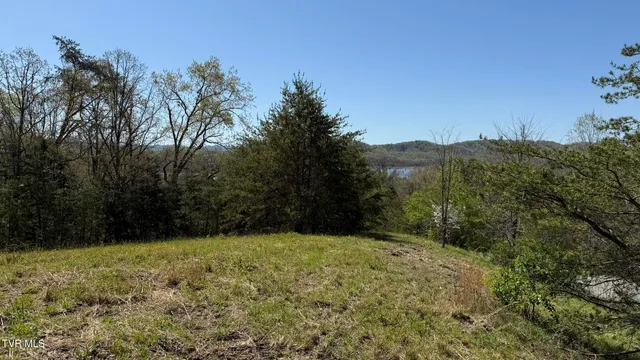 $59,000 | Lot 52 Bayside Boulevard, Unit 52, Bean Station, TN 37708