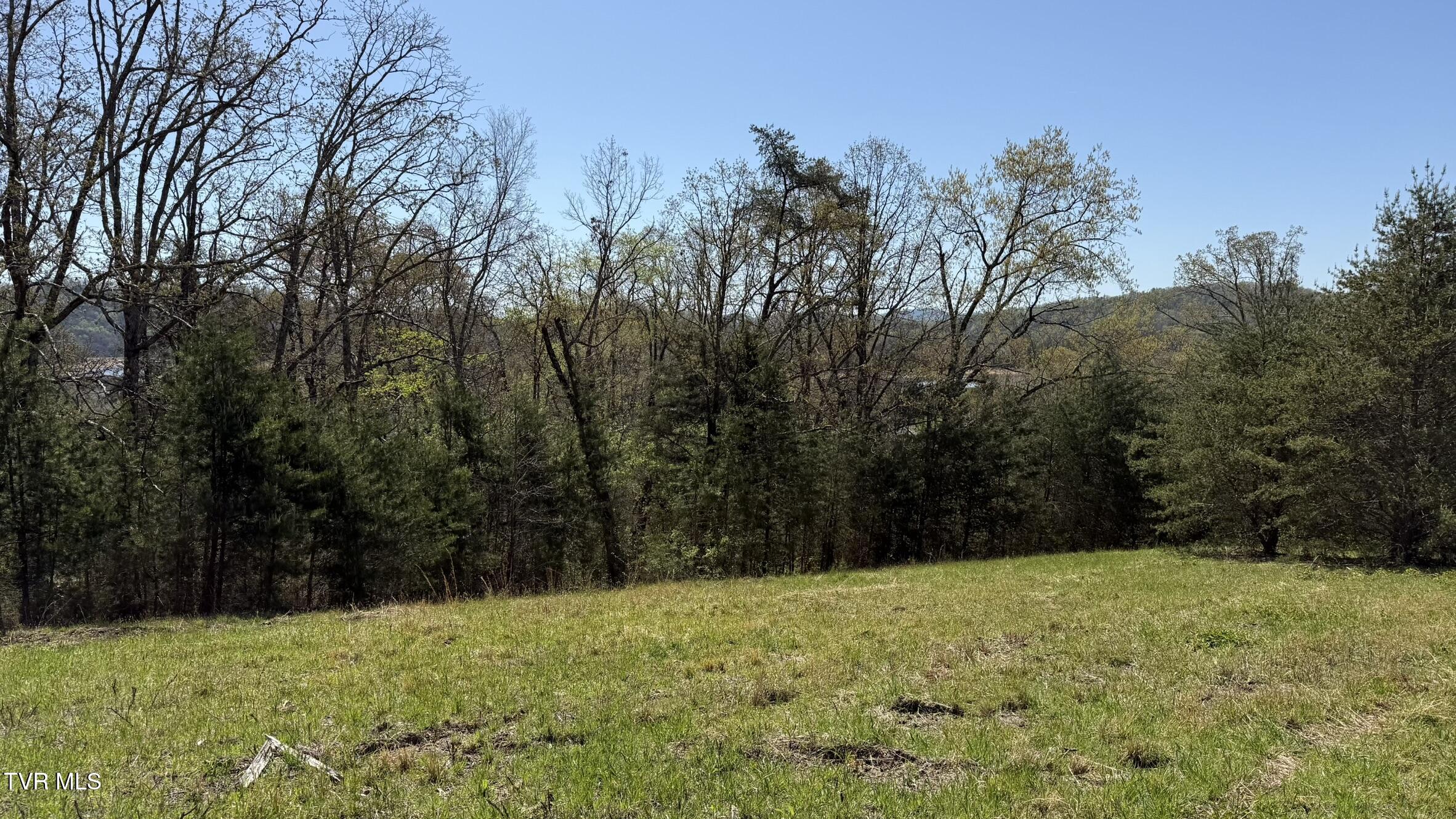 Lot 52 Bayside Boulevard, Unit 52 Bean Station, TN 37708 - Photo 5 of 7 IMG_3450