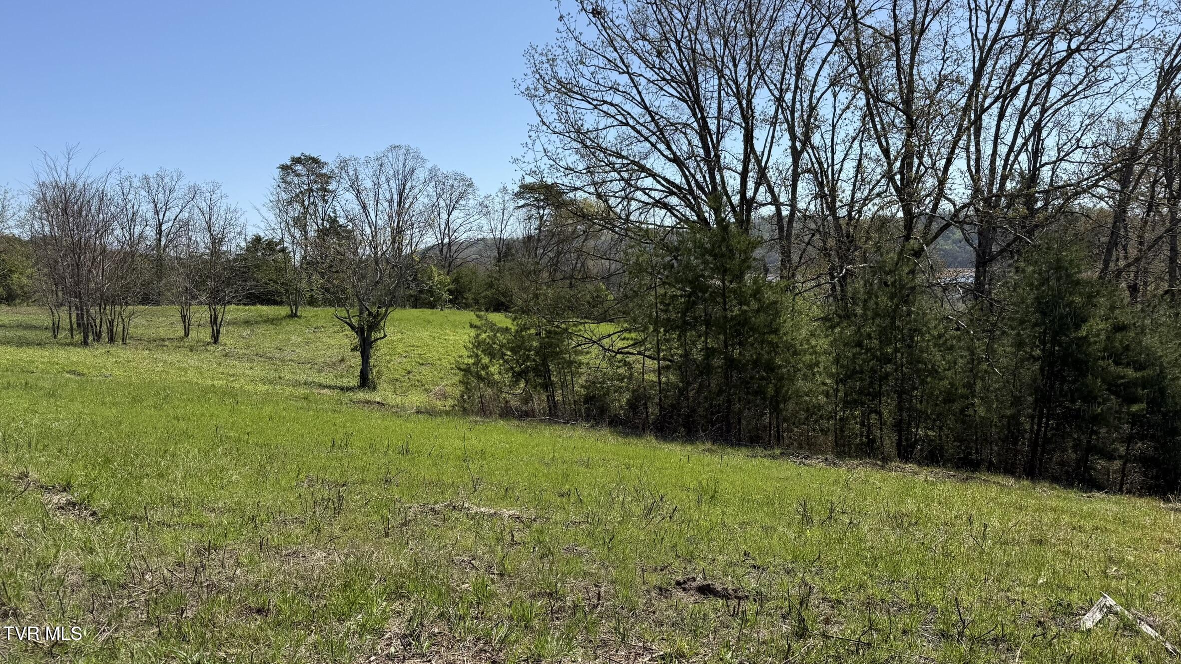 Lot 52 Bayside Boulevard, Unit 52 Bean Station, TN 37708 - Photo 6 of 7 IMG_3451