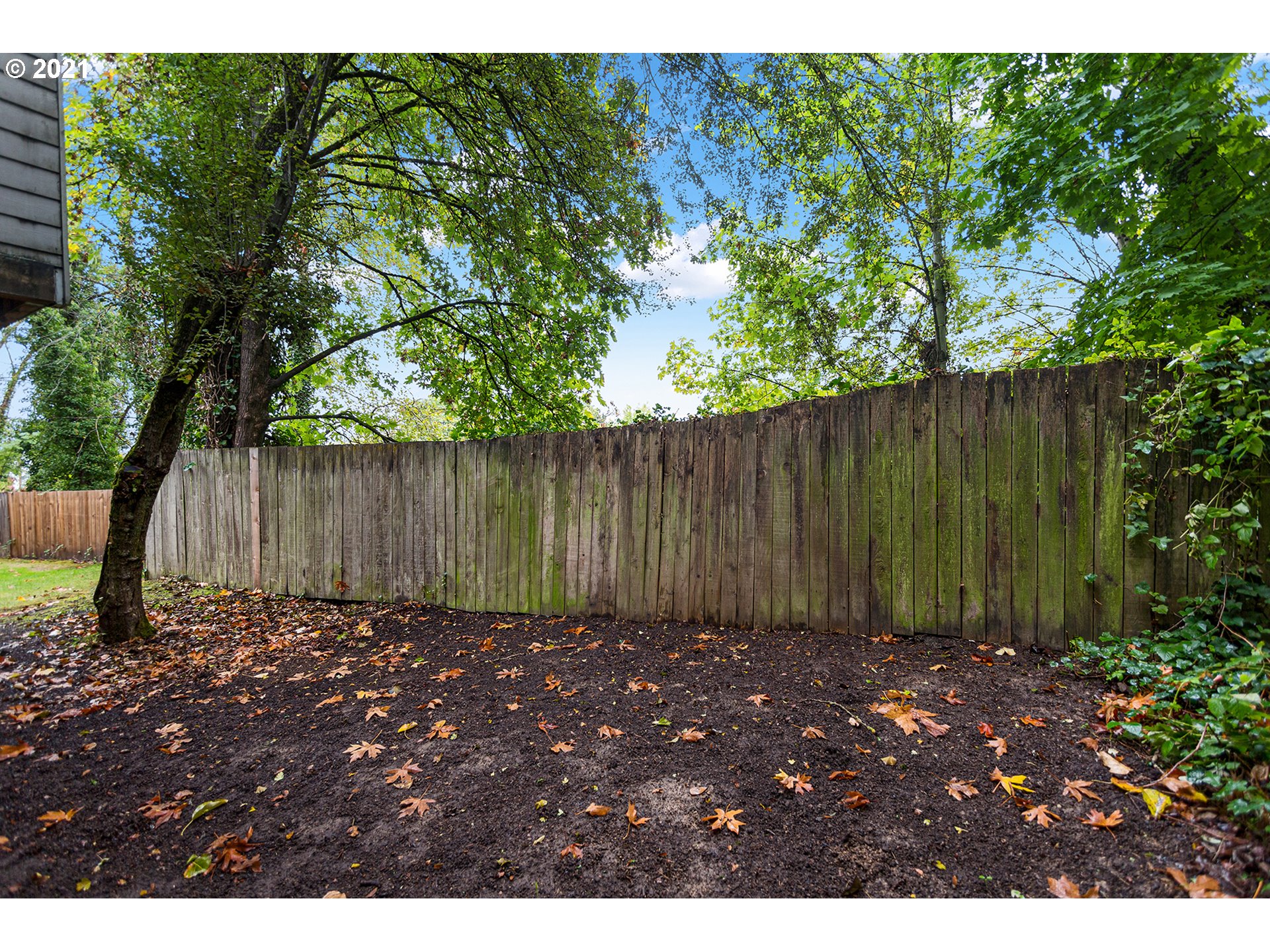 4930 Southwest 1st Avenue Portland, OR 97239 - Photo 26 of 27 a view of backyard with tree
