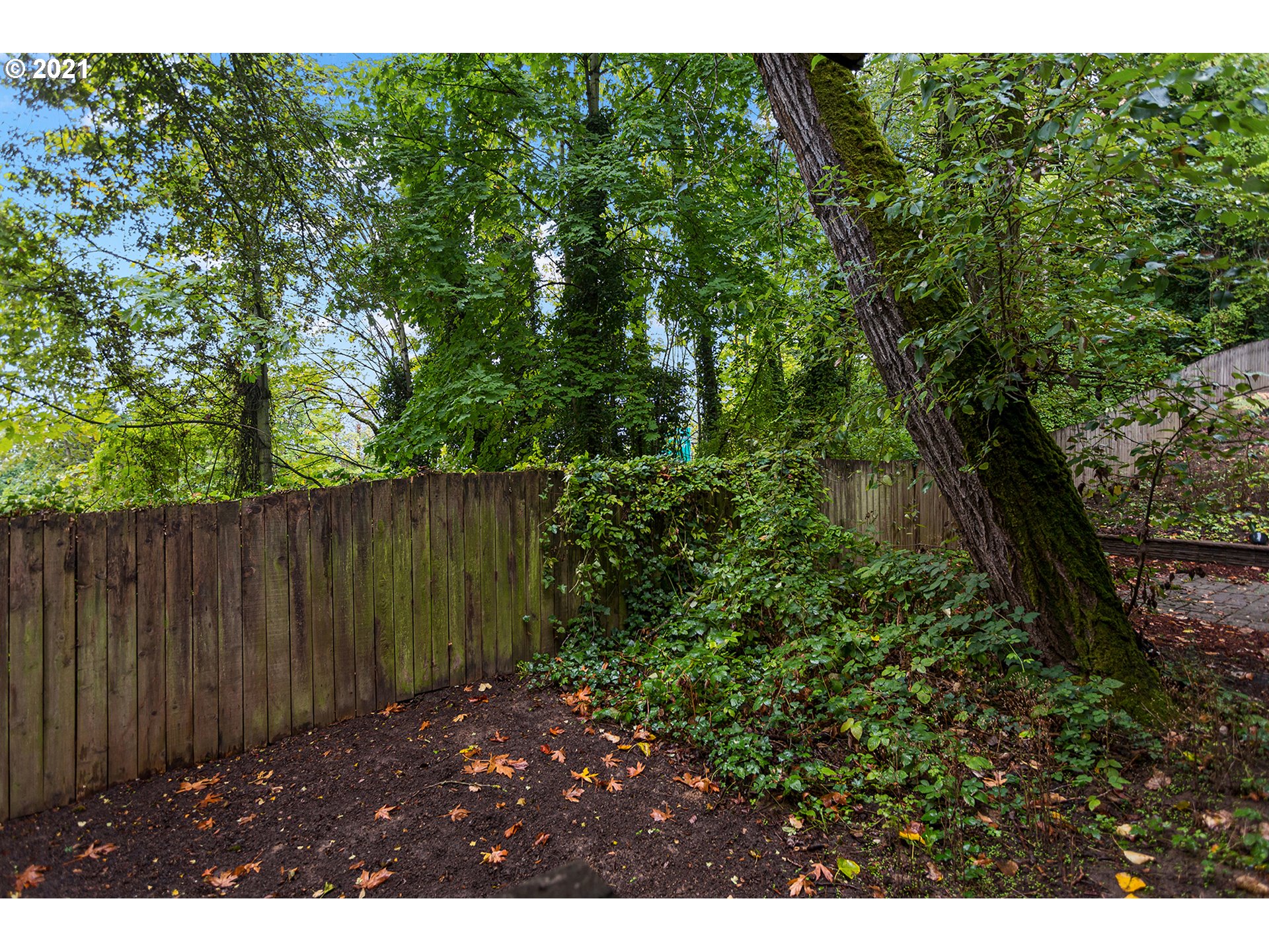 4930 Southwest 1st Avenue Portland, OR 97239 - Photo 27 of 27 a view of backyard with green space