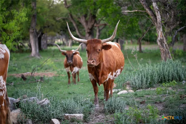 $2,600,000 | 281 North U.S. Highway 281, Lampasas, TX 76550