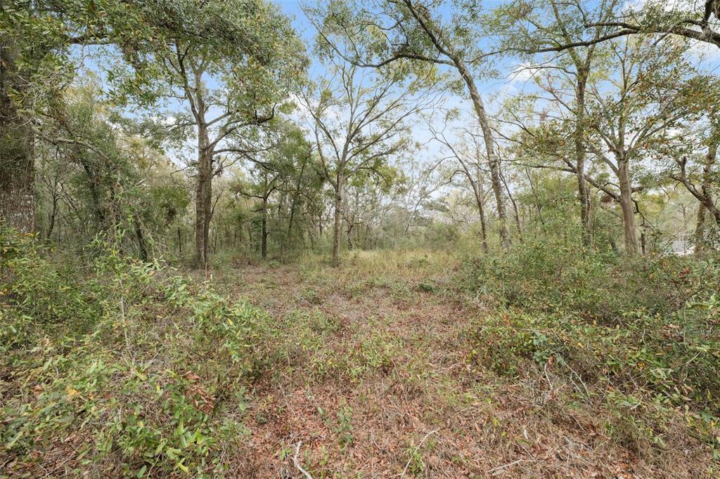 16308 Shady Hills Road Spring Hill, FL 34610 - Photo 15 of 22