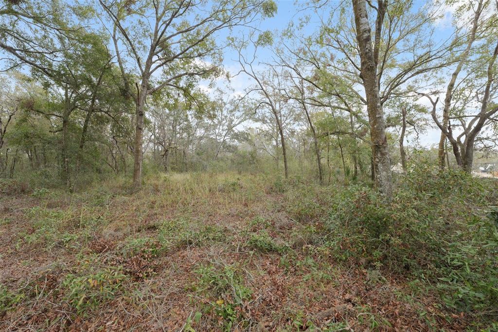 16308 Shady Hills Road Spring Hill, FL 34610 - Photo 16 of 22