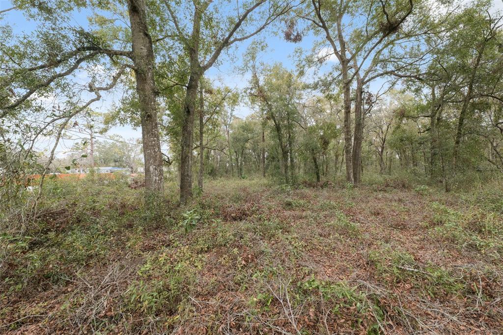 16308 Shady Hills Road Spring Hill, FL 34610 - Photo 17 of 22