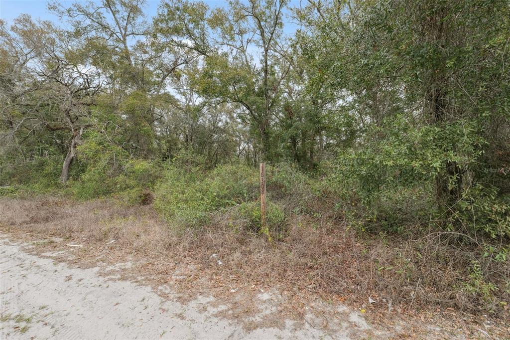 16308 Shady Hills Road Spring Hill, FL 34610 - Photo 18 of 22