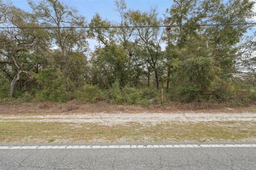 16308 Shady Hills Road Spring Hill, FL 34610 - Photo 19 of 22