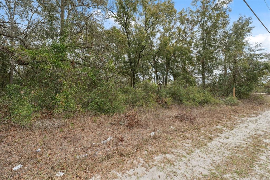 16308 Shady Hills Road Spring Hill, FL 34610 - Photo 21 of 22